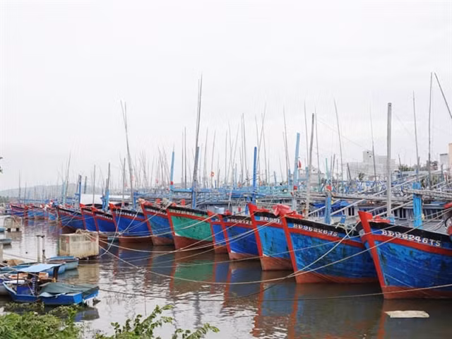 Binh Dinh proposes withdrawing two local ports from planning ảnh 1