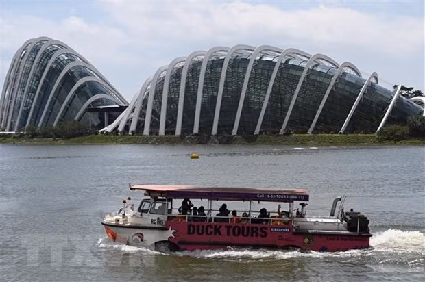 Number of Singaporean millionaires forecast to rise 60 pct in five years ảnh 1