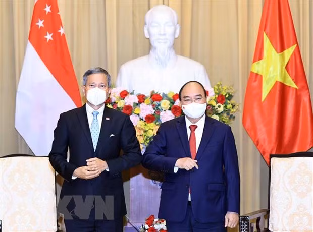 President hosts Singaporean Foreign Minister ảnh 1