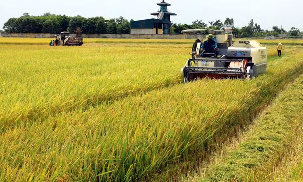 Vietnam’s supporting policies contribute to higher level of mechanisation in agriculture ảnh 1