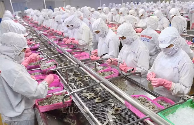 Aquatic product exports rise 14 percent in five months ảnh 1