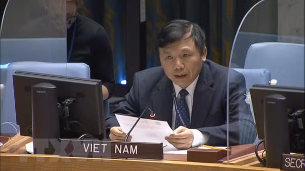 Vietnam chairs meeting of UNSC Informal Working Group on International Tribunals ảnh 1 Vietnam chairs meeting of UNSC Informal Working Group on International Tribunals ảnh 1