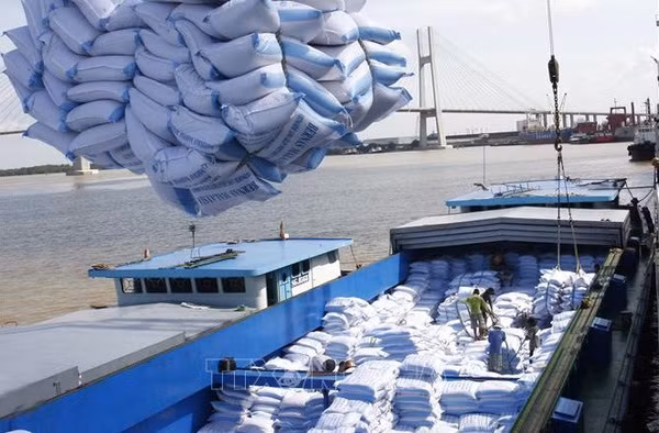 Vietnamese firms win bids for rice exports ảnh 1 Vietnamese firms win bids for rice exports ảnh 1