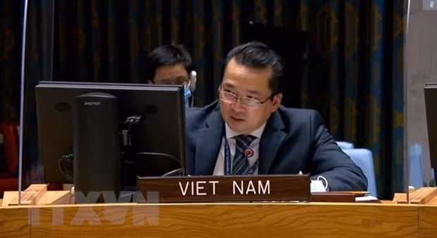 Vietnam supports ending of presence of foreign fighters, mercenaries in Libya ảnh 1