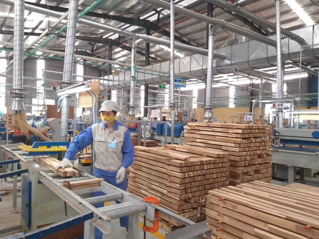Vietnam wood exports to rise to new record level ảnh 1