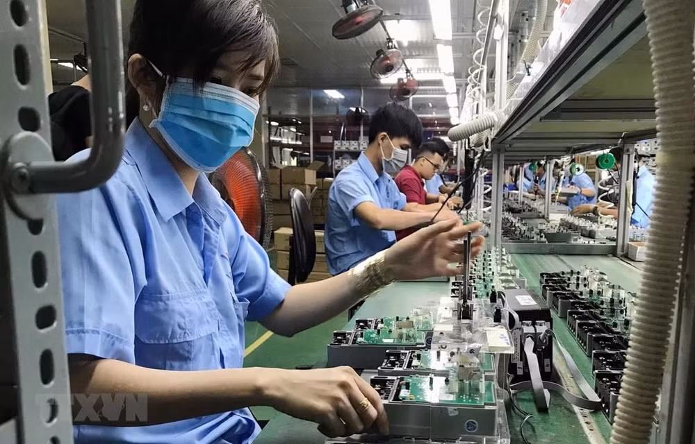 Policy support needed to boost business growth: insiders ảnh 1