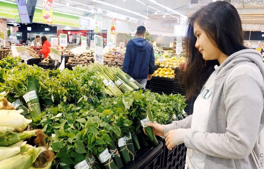 Activities held for World Environment Day must meet anti-pandemic regulations ảnh 1