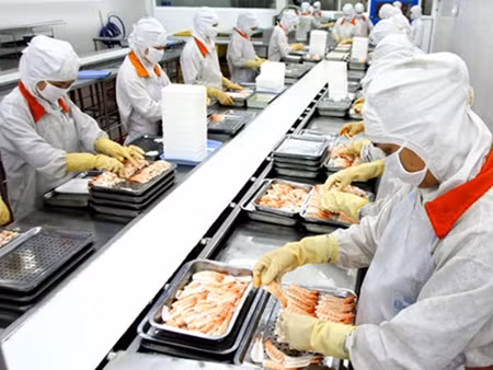 Export resilience to boost economy ảnh 1