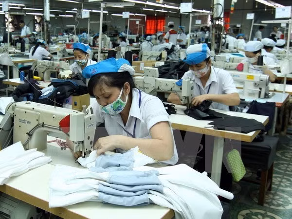 Vietnamese, Norwegian trade unions foster partnership ảnh 1