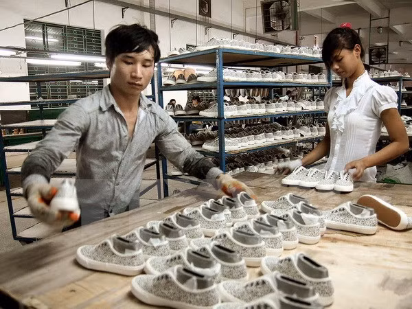 Foreign press: Vietnam likely to reap biggest gains from TPP ảnh 1