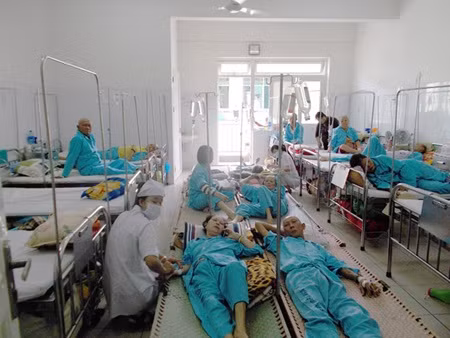  Hungary backs Can Tho in building cancer hospital ảnh 1