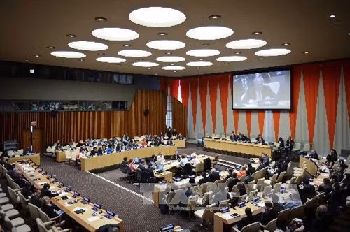 Vietnam elected to UN Economic and Social Council ảnh 1