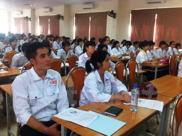 Japan wants more Vietnamese nurses, orderlies ảnh 1