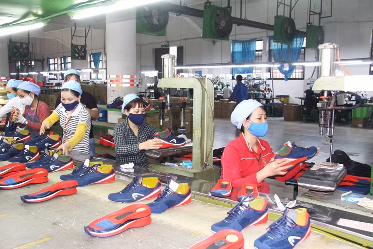Vinh Phuc assists enterprises in optimising EVFTA opportunities ảnh 1