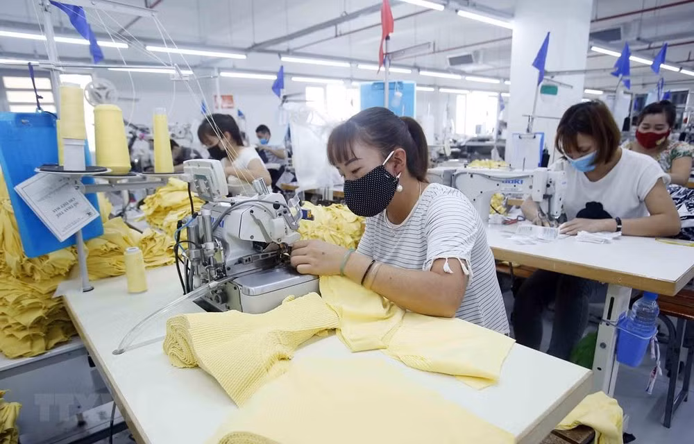 Women-led enterprises make great contributions to economic recovery: expert ảnh 1