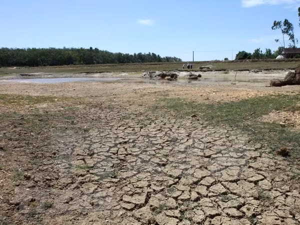 Natural disasters cost Ca Mau province over 43 million USD ảnh 1
