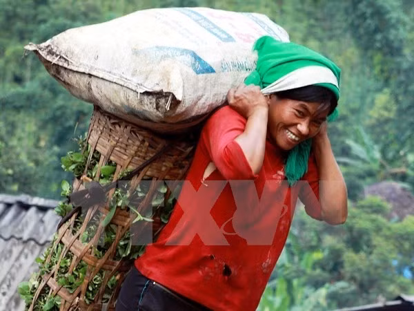 Workshop discusses gender equality in Vietnam ảnh 1