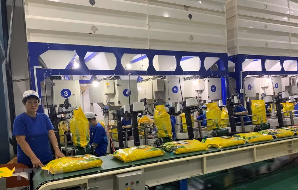 Can Tho prepares first batch of rice to EU with zero tariff ảnh 1