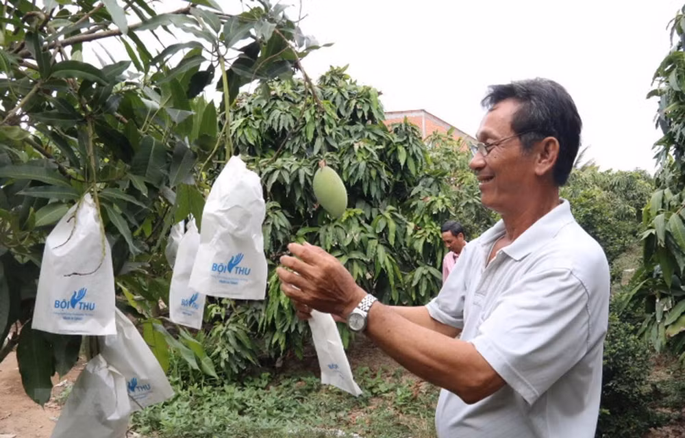 Mekong Delta’s fruit farming area to be expanded ảnh 1