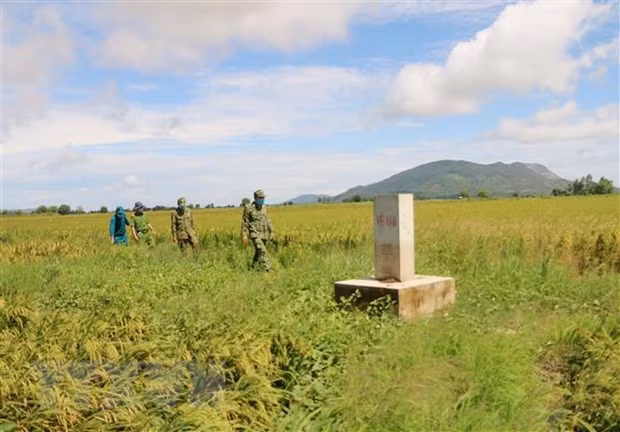 New decree on administrative fines in border management ảnh 1