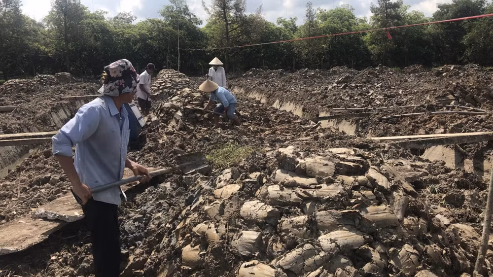 Flood season coming late, drought may hit Mekong Delta again next year ảnh 1