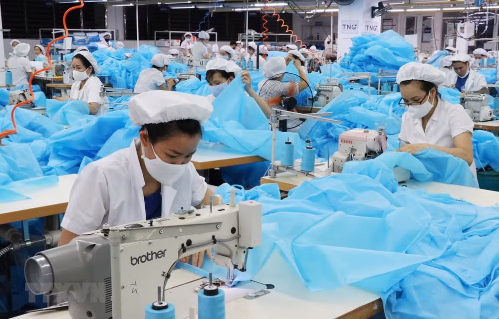 Can Tho city takes measures to boost economic recovery ảnh 1