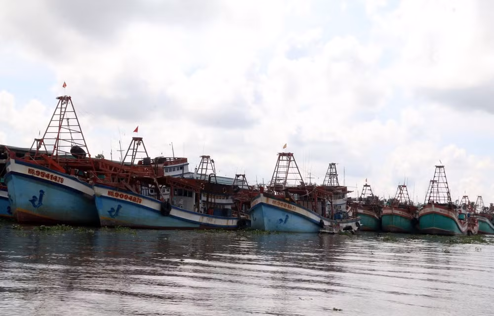 Kien Giang cracking down on illegal fishing ảnh 1 Kien Giang cracking down on illegal fishing ảnh 1