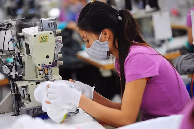 Decree aims to ensure companies benefit from corporate income tax cut ảnh 1