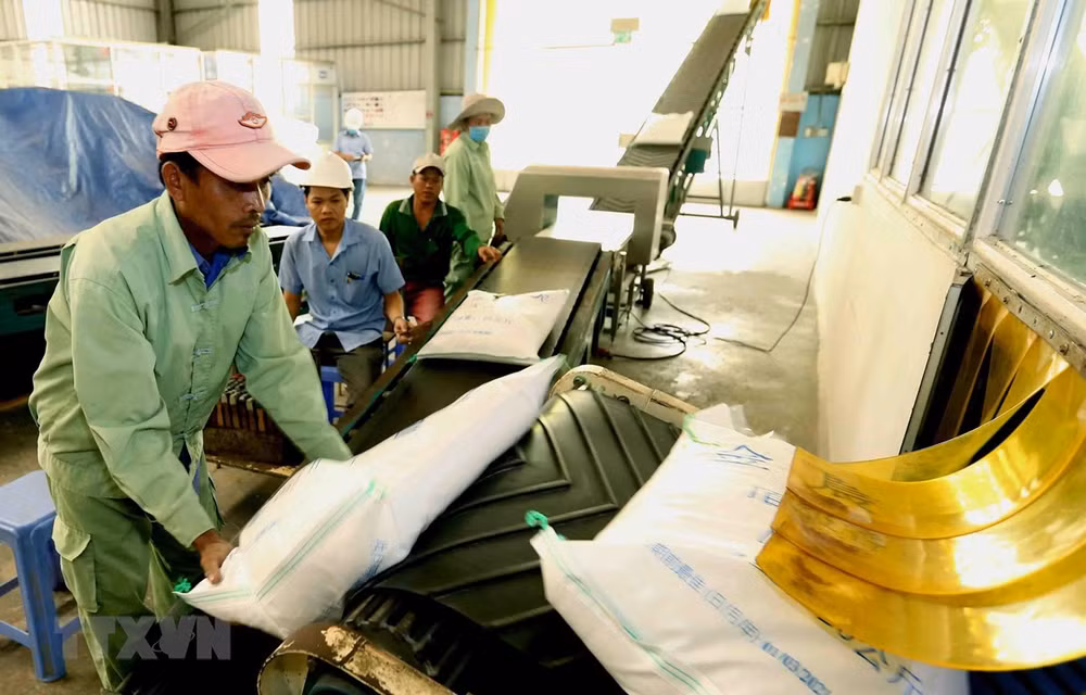 Local rice exporters seek ways to enter EU ảnh 1