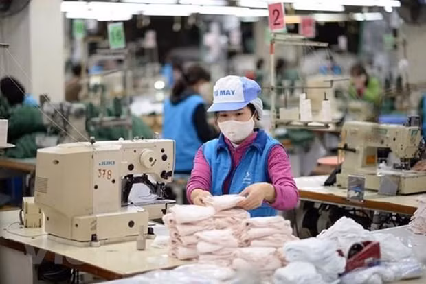 Vinatex targets over 16.4 billion USD in pre-tax profit ảnh 1