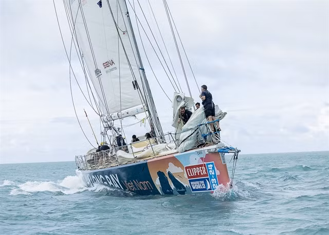 World largest Clipper Race sailors to race in Ha Long Bay ảnh 1