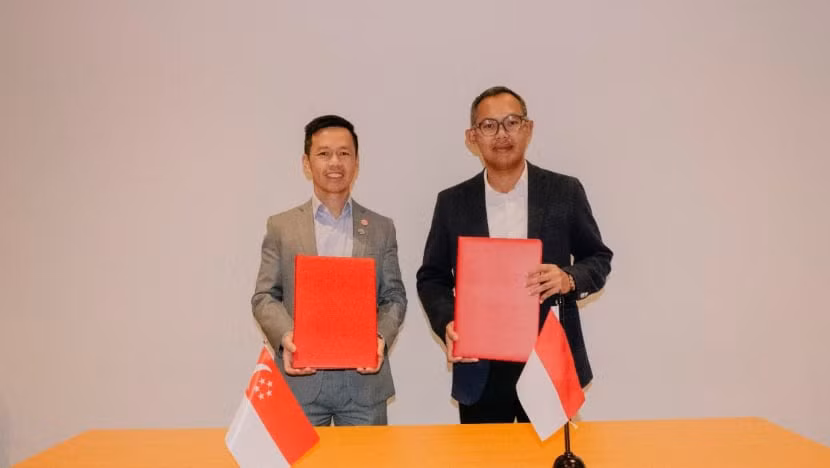 Singapore, Indonesia bolster cooperation in cross-border carbon capture storage ảnh 1