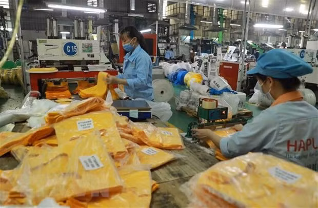 CPTPP helps raise Vietnam’s exports to member markets: official ảnh 1