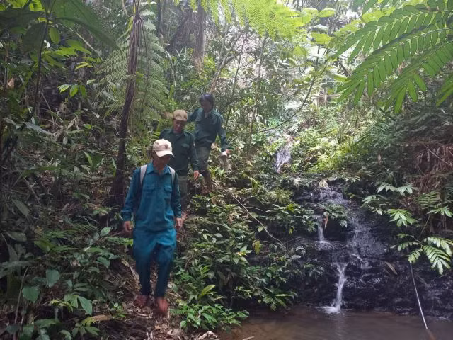 Community-based protection promotes forest conservation ảnh 1
