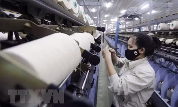 Russian expert: Vietnamese economy stable in 2022 ảnh 1 Russian expert: Vietnamese economy stable in 2022 ảnh 1