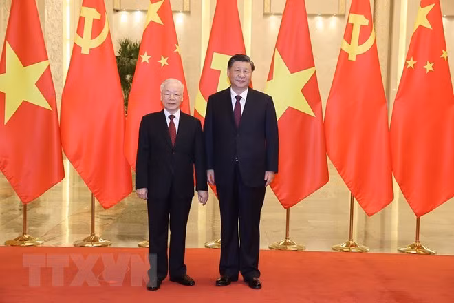 Party diplomacy contributes to raising Vietnam’s position: senior official ảnh 1