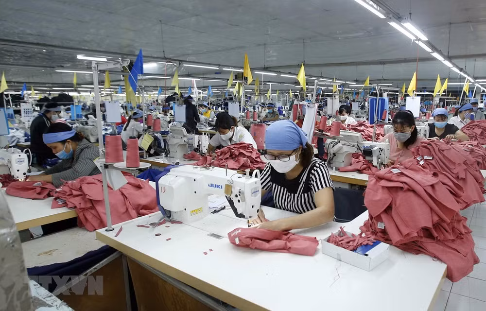 Target of 6.5% economic growth for 2023 is a challenge: GSO leader ảnh 2