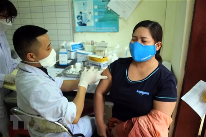 Vietnam logs 389 new COVID-19 cases on December 15 ảnh 1