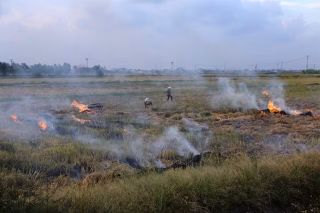 Fine dust pollution can lead to long-term consequences: experts ảnh 1