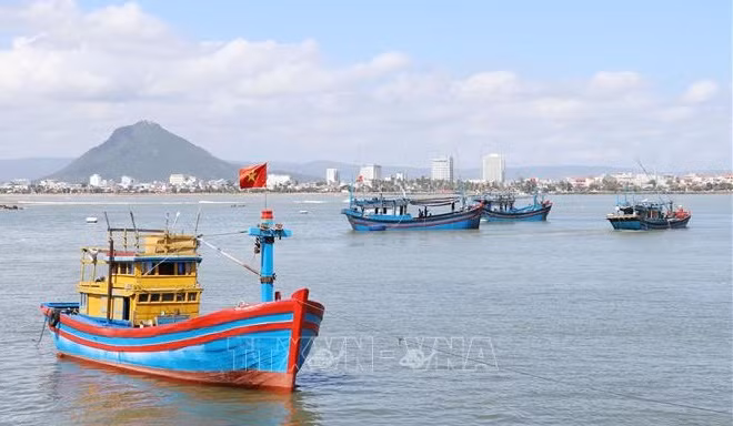 Khanh Hoa province makes progress in combating IUU fishing ảnh 1
