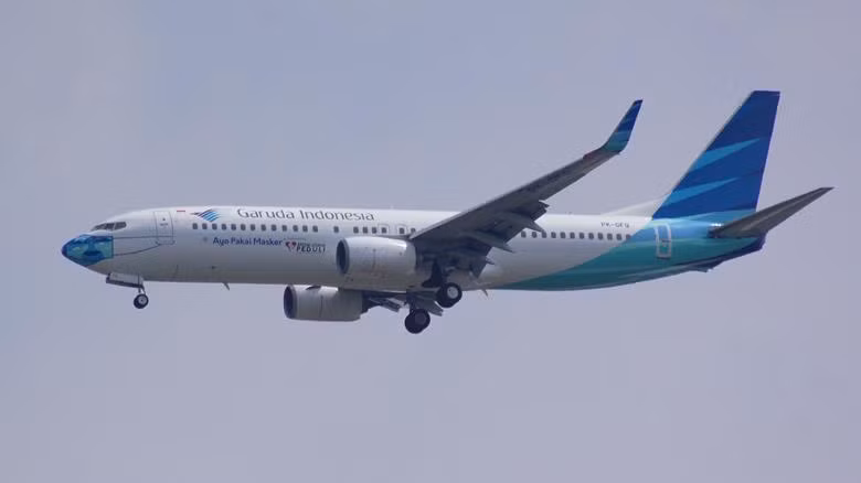 Indonesia pumps 480 million USD into State-owned airline ảnh 1