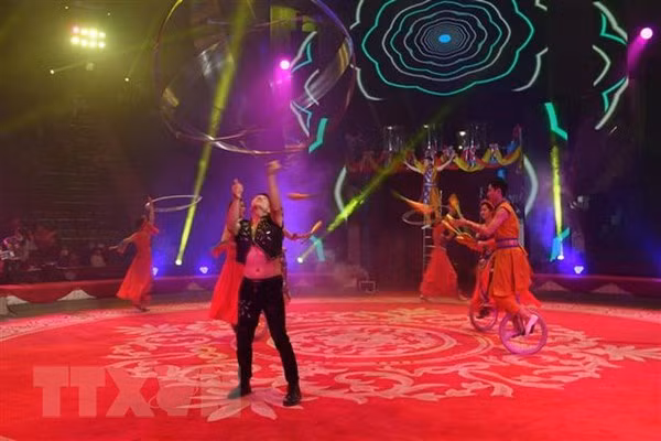 2022 International Circus Festival wraps up in Hanoi ảnh 1
