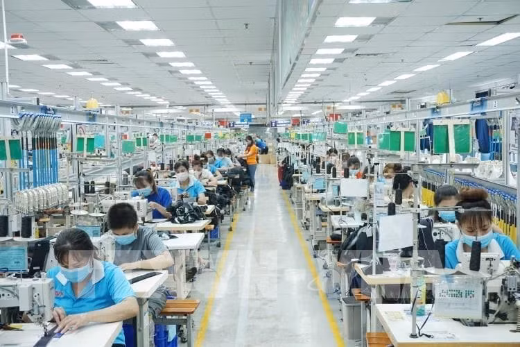 Binh Duong posts over 9 billion USD in trade surplus in 2022 ảnh 1