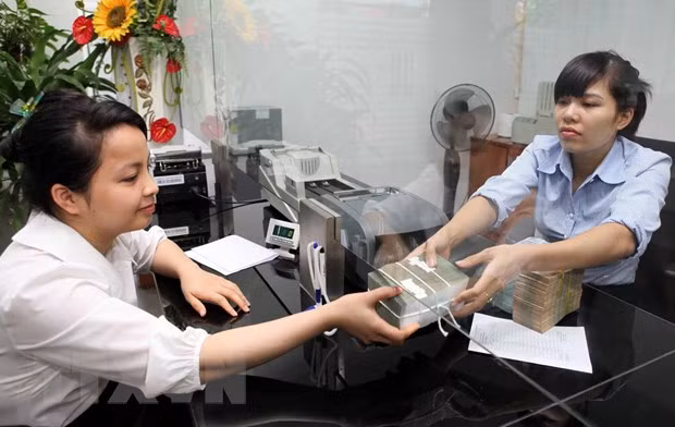 Central bank works to tighten legal framework for cooperative credit institutions ảnh 1