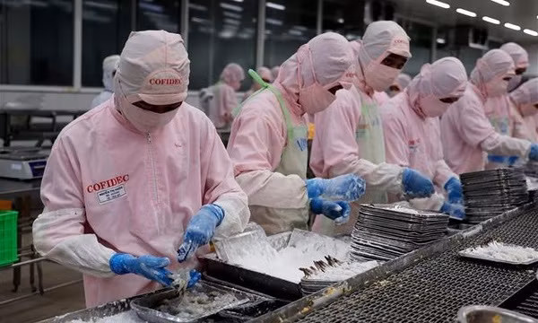 Vietnam's new import-export revenue record set ảnh 1