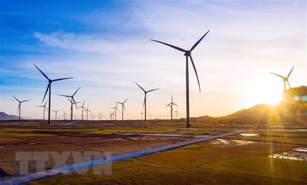 ADB finances 107 million USD to develop wind power in Vietnam ảnh 1