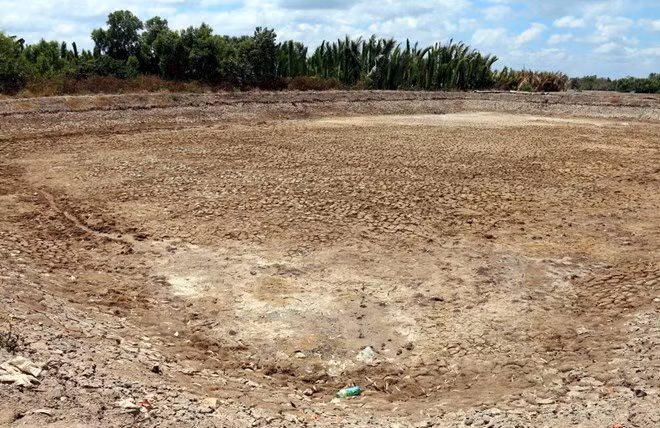 Mekong Delta farmers need be careful starting new crop ảnh 1