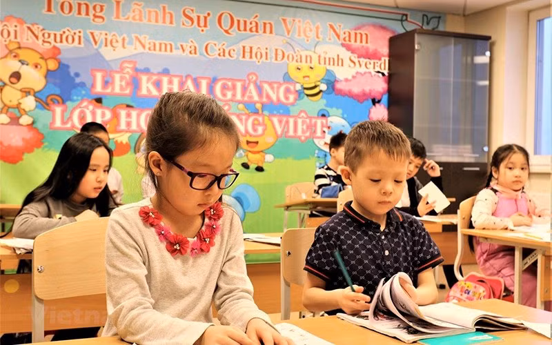 Action programme aims to promote overseas Vietnamese-related affairs ảnh 1