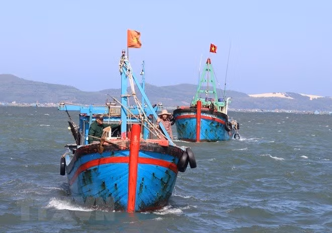 Ninh Thuan works to enhance offshore fishing capacity ảnh 1