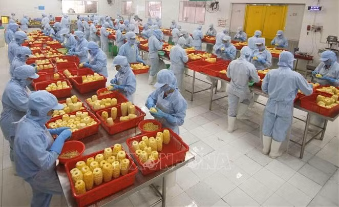 Vietnam looking to expand export to Eurasian market ảnh 1